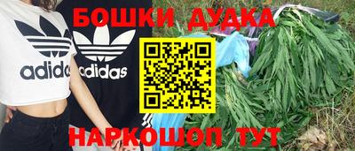 сатива Бугуруслан