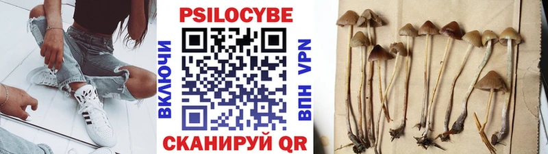 купить   блэк спрут ТОР  Псилоцибиновые грибы Psilocybine cubensis  Коммунар 