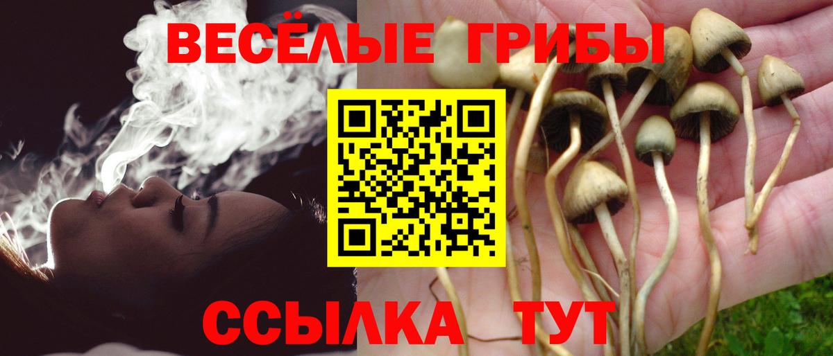 Коммунар  Псилоцибиновые грибы Magic Shrooms  Вход с VPN 